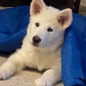 Meet your Posher, Jamie